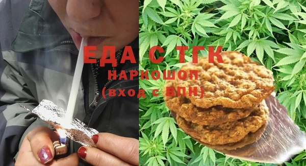 индика Вяземский
