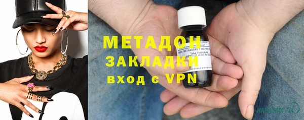 индика Вяземский