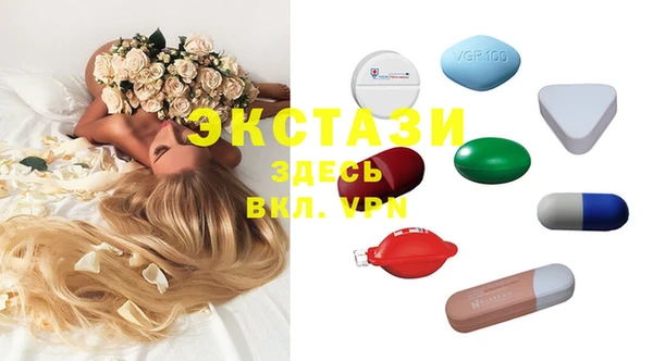 гидра Вязьма