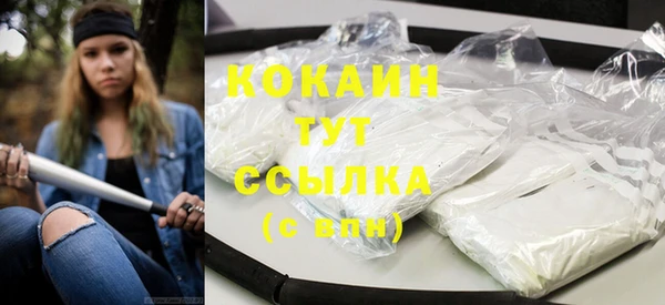 гидра Вязьма