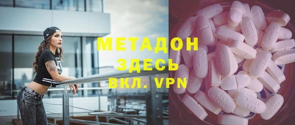 индика Вяземский