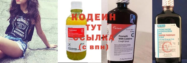 индика Вяземский