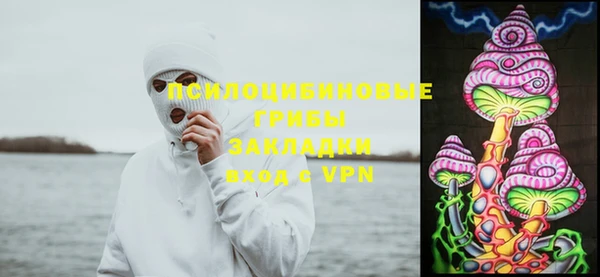 гидра Горнозаводск