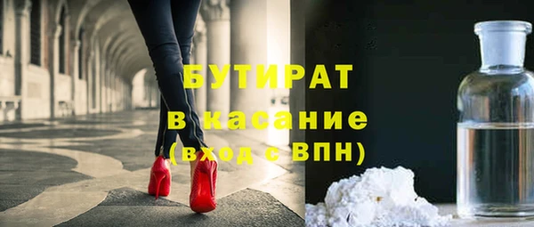 гидра Вязьма