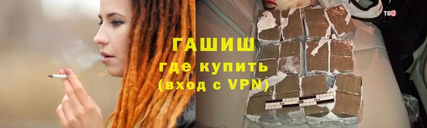 индика Вяземский