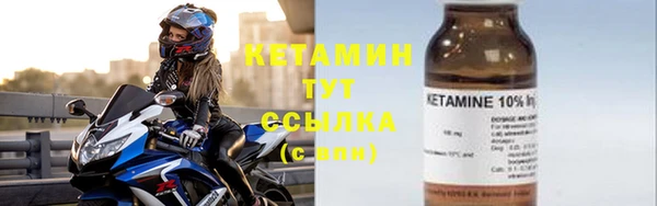индика Вяземский