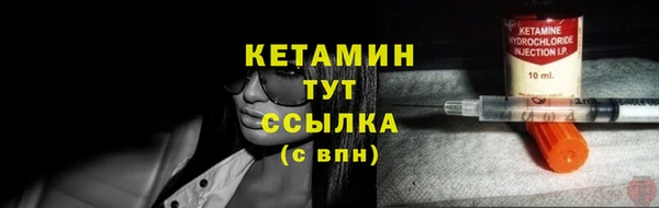 индика Вяземский