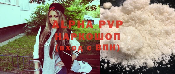 гидра Вязьма