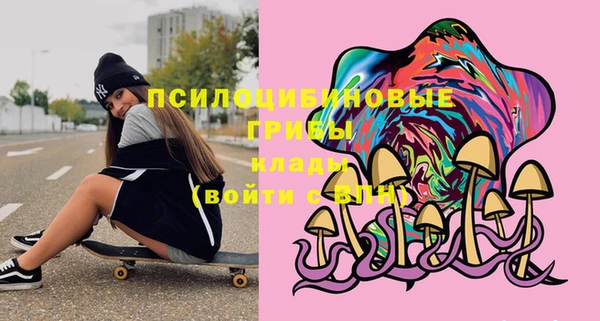 гидра Вязьма