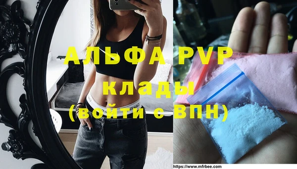 гидра Вязьма