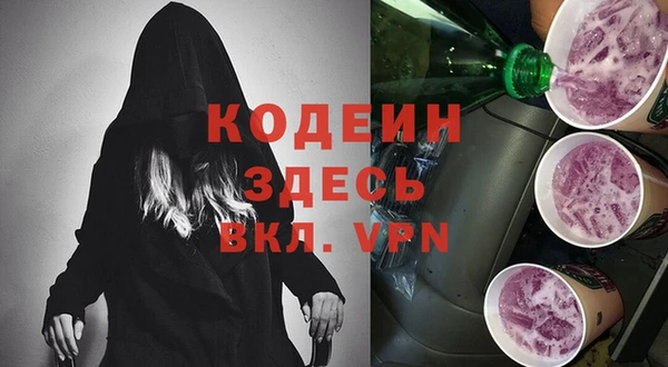 гидра Вязьма