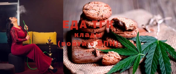 индика Вяземский