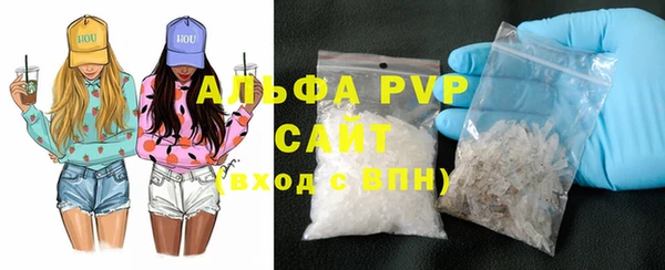 гидра Горнозаводск