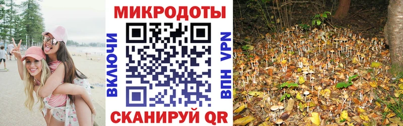 Псилоцибиновые грибы Cubensis  Купить закладки  Анадырь 